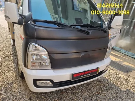 인천 포터 본넷 카본 랩핑기 포인트데칼 루프스킨 돌빵 부식 방지 벌레튐 커버 - 부평 계양 청라 서구 부천 지역 테수라모터스 / 인천 계양구