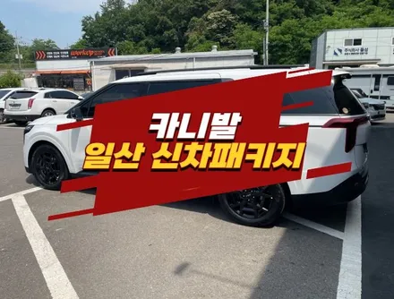 일산 신차패키지 카니발 루마버텍스 900 썬팅 PPF까지 한 번에 / 경기 김포
