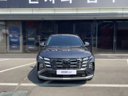 김포 신차패키지 투싼 NX5 루마버텍스 900 + 700 썬팅 / 경기 김포