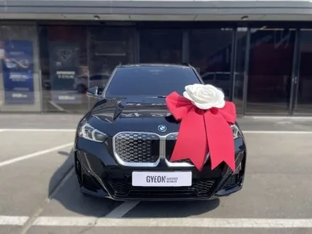 청라신차패키지 BMW IX1 루마버텍스 썬팅 후기 / 경기 김포