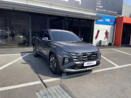 김포 신차패키지 투싼 NX5 루마버텍스 900 + 700 썬팅 / 경기 김포