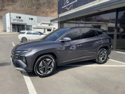 김포 신차패키지 투싼 NX5 루마버텍스 900 + 700 썬팅 / 경기 김포