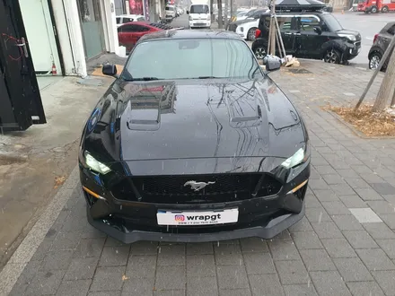 고양랩핑은 무조건 랩지티에서! 포드 머스탱 GT 5.0 전체 랩핑 매트블랙 / 고양 삼송, 일산