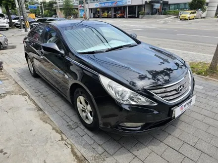 현대YF소나타 일산 고양시 지축 구파발 삼송 반반사 틴팅재시공 / 고양 삼송, 일산