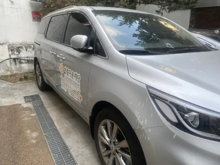 올뉴카니발 일산 고양 고양시 식사동 성석동 파주 교하 광고랩핑 / 고양 삼송, 일산