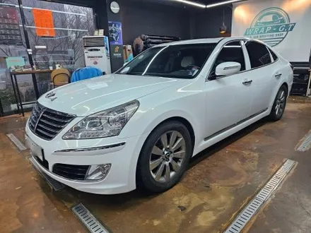 에쿠스 VS380 Gloss White Gold Sparkle 고양시 전체랩핑 / 고양 삼송, 일산