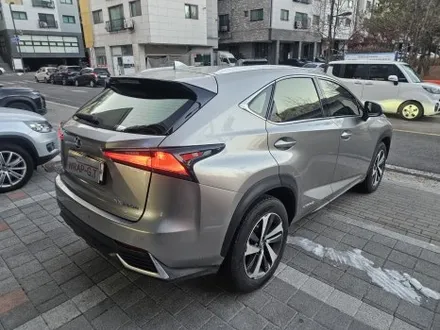 렉서스 300h 하이브리드 틴팅 재시공 / 고양 삼송, 일산