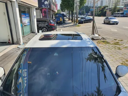 혼다 어코드 루프스킨 블랙ppf 고양랩핑 맛집 랩지티 / 고양 삼송, 일산