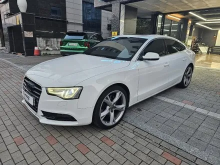 아우디 A5 일산 고양 성석동 중산동 화정동 틴팅 썬팅 재시공 / 고양 삼송, 일산