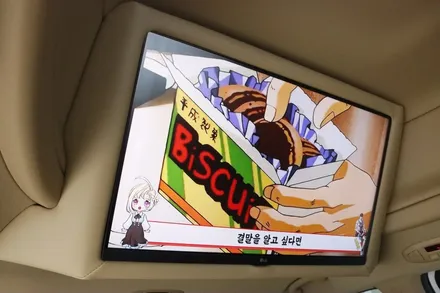 목포 더뉴카니발 하이루프 - LG28인치 스마트TV 장착하기