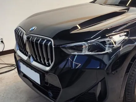 일산 BMW X1 - 크롬죽이기 블랙 PPF & 생활보호 PPF / 고양시 식사동