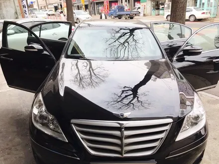 [Style Car 멀티] 제네시스 기존필름 제거후 skc마스터즈 필름 시공했어요~~