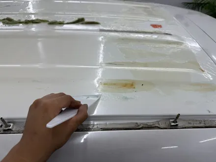 홍천루프스킨제거 - 올뉴스포티지 루프스킨 제거 재시공 - 킹드레스 / 춘천시 후평동