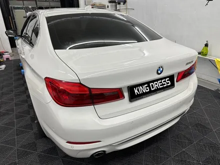 춘천라이트필름 - BMW 5시리즈 라이트필름 라이트PPF - 킹드레스 / 춘천시 후평동