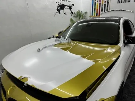 춘천랩핑제거 - BMW M4 전체랩핑 제거 - 킹드레스 / 춘천시 후평동