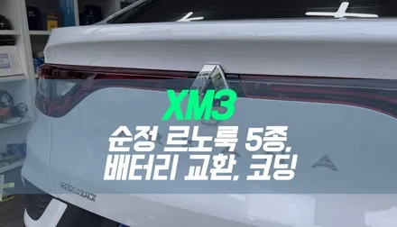 대구 XM3 아르카나 르노룩 5종, 사제 혼캡, 배터리 교환, 코딩 작업 / 대구 북구, 구미, 경산