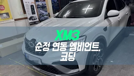 대구 XM3 하이브리드 순정 연동 엠비언트, 풋등, 코딩 작업 / 대구 북구, 구미, 경산