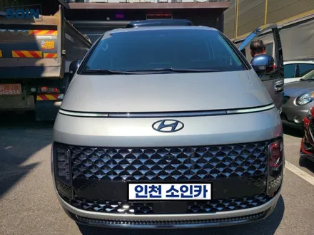 스타리아 차박필수템 스텔스링크 우레탄창 모기장 _인천