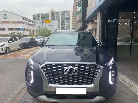 팰리세이드 솔라가드 퀀텀과의 만남!!! / 광명 소하동
