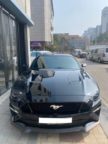 포드 머스탱 gt 솔라가드 티타늄 시원한 여름 나기 / 광명 소하동