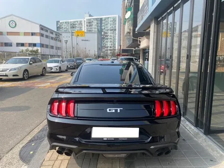 포드 머스탱 gt 솔라가드 티타늄 시원한 여름 나기 / 광명 소하동