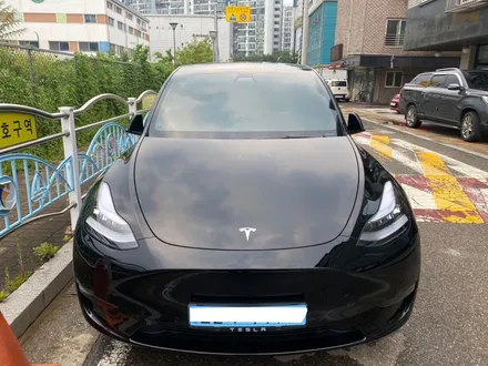 광명 테슬라 모델y 윈도틴팅 해봐야 압니다 / 광명 소하동