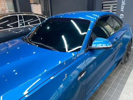 BMW M2 솔라가드 퀀텀 전면시공!!! / 광명 소하동