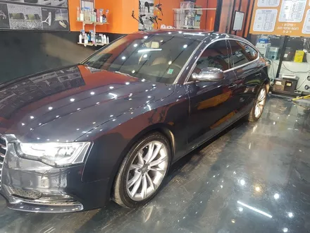 아우디 A5 TDI 프리엄 수성 광택 [인천 서창동 세차] / 김포시 마산동