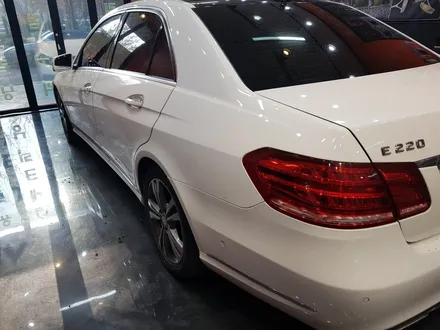 벤츠 E220 CDI 석회물 프리미엄 광택 TGGT전용유리막코팅[인천 광택] / 김포시 마산동