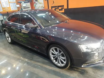 아우디 A5 TDI 프리엄 수성 광택 [인천 서창동 세차] / 김포시 마산동