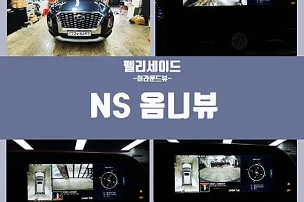 [2년 전 오늘] 펠리세이드 장착 전문 어라운드뷰 NS옴니뷰 설치