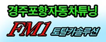 [경주포항자동차튜닝] 2020신형카니발▶아이나비 칼트윈LX반사필름 썬팅과 PPF필름 생활기스방지 튜닝으로 항상 반짝반짝한 내 차의 멋짐을 유지하세요!! 신차의 필수시공!![FM1] / 경주시 소금강로