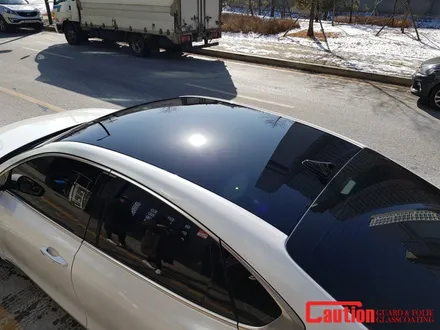 일산 고양 덕양 그랜져 루프스킨전문점[코션코리아 일산점]그랜져ig 탑폴리에 루프스킨 시공후기~! / 고양시 덕양구 신원동