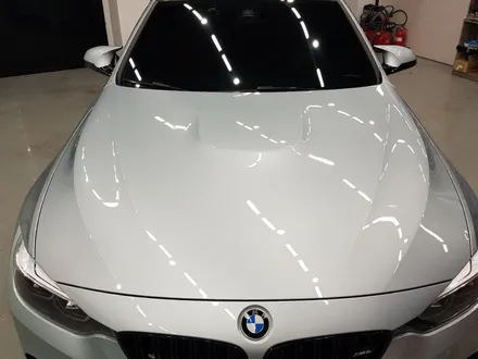 일산 고양 은평 BMW PPF전문점[코션코리아 일산점]BMW M4 본넷PPF + 앞범퍼PPF + 생활보호패키지PPF 시공후기 / 고양시 덕양구 신원동