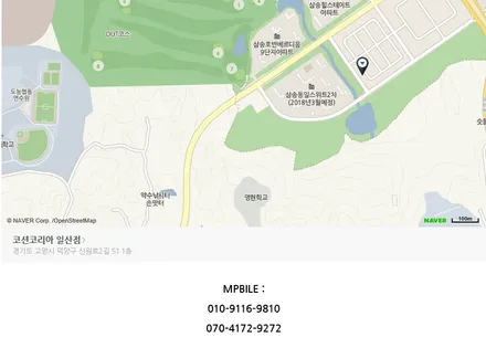 일산 고양 은평 아반테 루프스킨전문점 [코션코리아 일산점]아반테스포츠 탑폴리에 루프스킨 시공후기~! / 고양시 덕양구 신원동