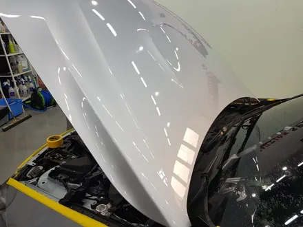 일산 고양 은평 BMW PPF전문점[코션코리아 일산점]BMW M4 본넷PPF + 앞범퍼PPF + 생활보호패키지PPF 시공후기 / 고양시 덕양구 신원동