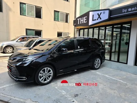 [마포썬팅] / 서울 마포구 용강동