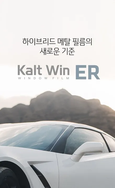 그랜드카니발 아이나비 칼트윈 ER !! / 인천, 부평, 부천