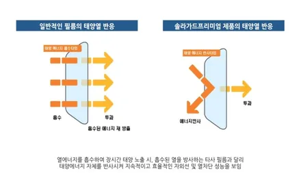 스팅어 솔라가드 프리미엄 보그 시공!! / 인천, 부평, 부천