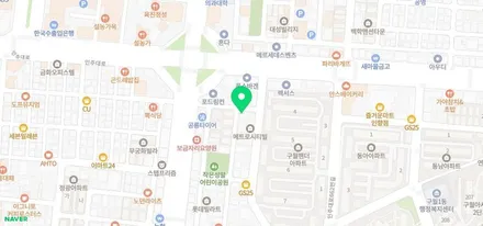도요타 프리우스 룸미러 하이패스 장착 / 인천, 부평, 부천