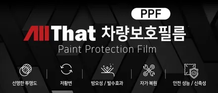 시흥 부천 안산 팰리세이드 블랙에디션 패키지후기!<1탄> 버텍스 1100썬팅+PPF 시공후기!! / 시흥시 은행동