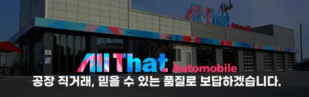 시흥 안산 PPF안심 패키지(본넷,범퍼비키니) 출시!!팰리세이드 전용! / 시흥시 은행동
