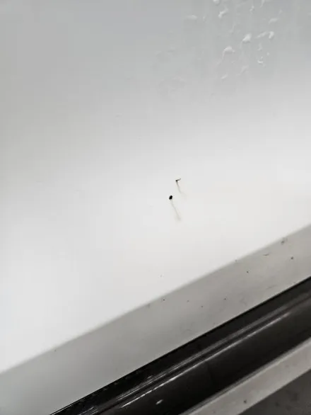 중고차를 신차느낌으로 복원 광택!!/포르쉐 마칸 /실내클리닝/ 수원 영통 광교 / 프리미엄 디테일링센터 / 153디테일링 / 경기 수원