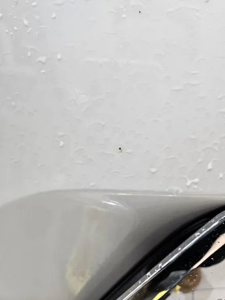 신차를 신차답게 복원!! BMWX7 신차복원 패키지 /광택 유리막코팅  / 수원 영통 광교 / 프리미엄 디테일링 센터 / 153디테일링 / 경기 수원
