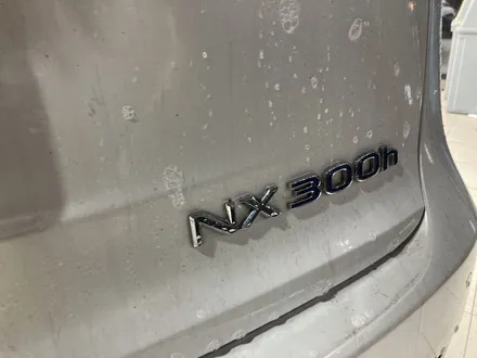 수원 광교 디테일링세차 153디테일링/렉서스 NX300h / 경기 수원