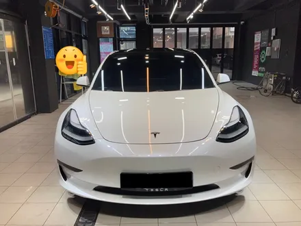 [수원광교용인] 테슬라 모델3 벌레제거세차 / 경기 수원