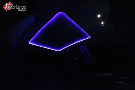테슬라에 필요한 모든 옵션! 베리어스커스텀에서 / 김포