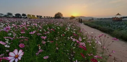 코란도스포츠 튜닝 무본서스펜션+ / 평택, 안성, 오산