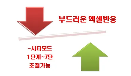 ●딤스포츠 \