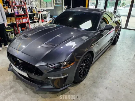 포드 머스탱  GT 바이퍼라인 데칼작업 - 성남자동차랩핑/분당랩핑/판교랩핑/스탠스(STANCE) / 성남시 수정구 사송동